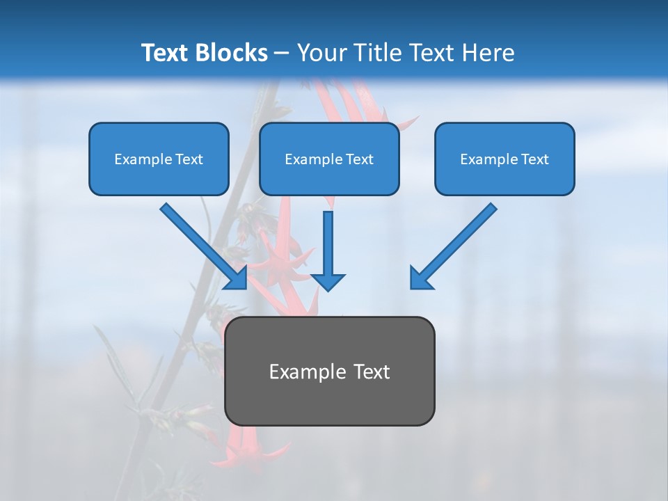 Flower Fire Ipomopsis Aggregata PowerPoint Template