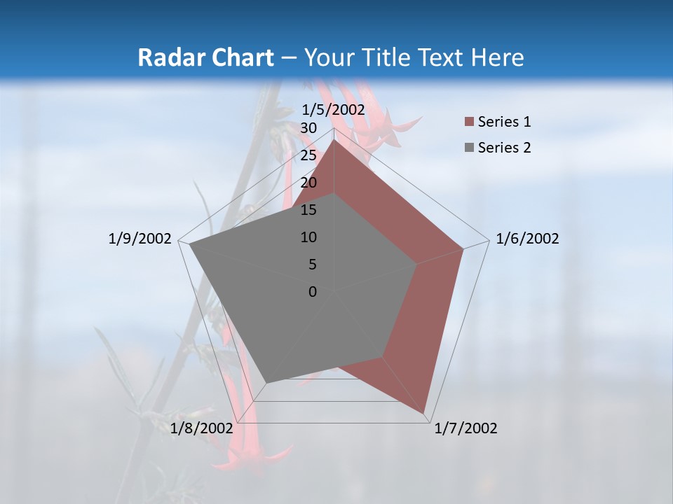 Flower Fire Ipomopsis Aggregata PowerPoint Template