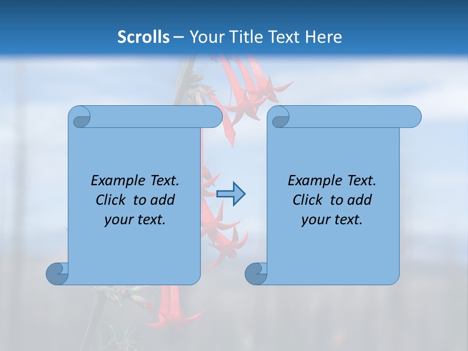 Flower Fire Ipomopsis Aggregata PowerPoint Template