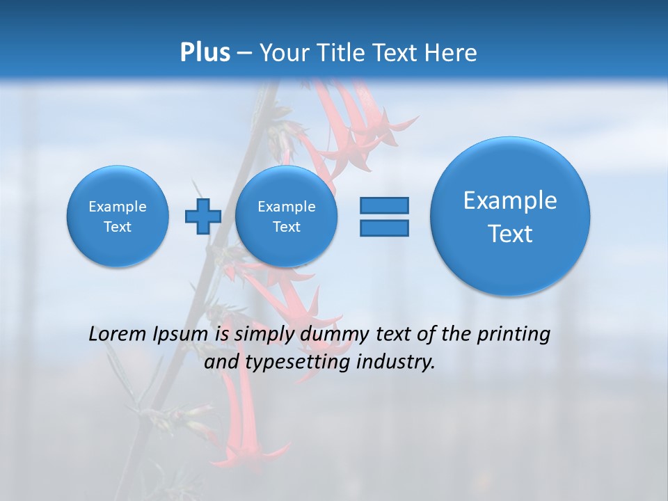 Flower Fire Ipomopsis Aggregata PowerPoint Template