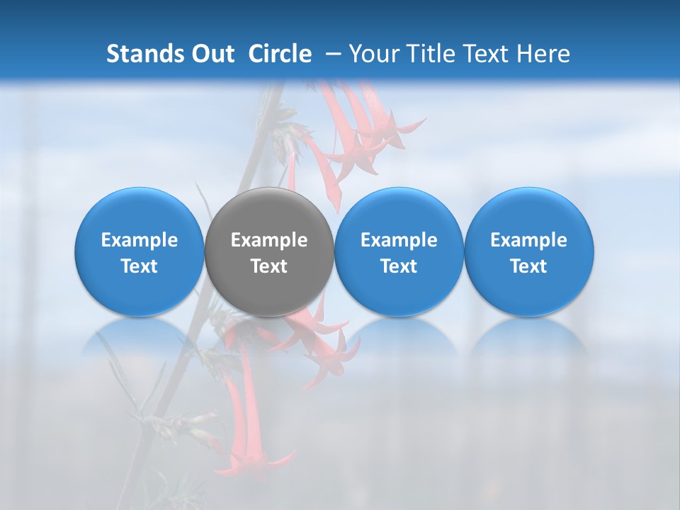 Flower Fire Ipomopsis Aggregata PowerPoint Template