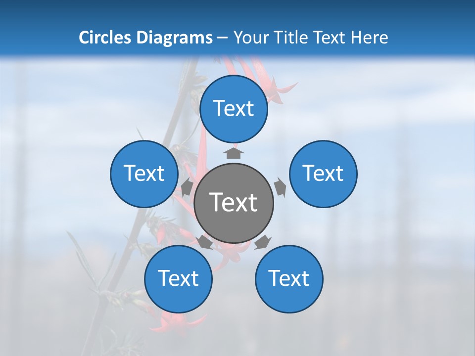 Flower Fire Ipomopsis Aggregata PowerPoint Template