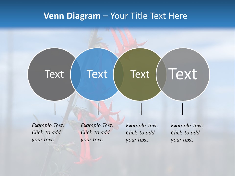 Flower Fire Ipomopsis Aggregata PowerPoint Template