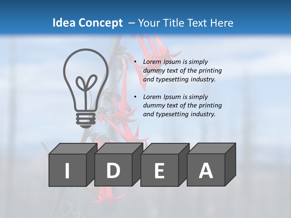 Flower Fire Ipomopsis Aggregata PowerPoint Template