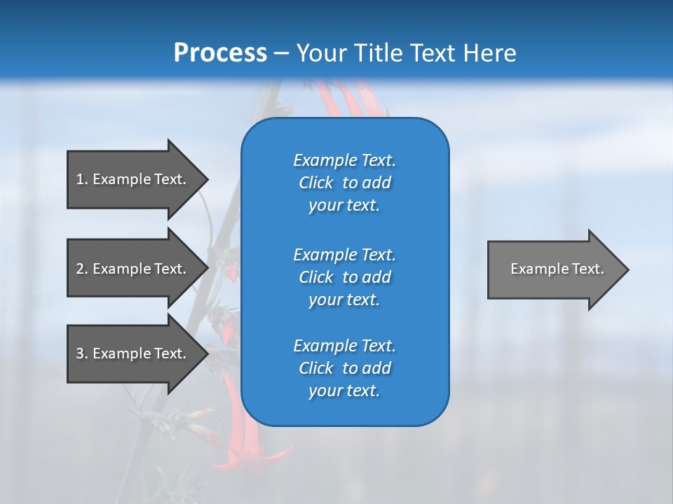 Flower Fire Ipomopsis Aggregata PowerPoint Template