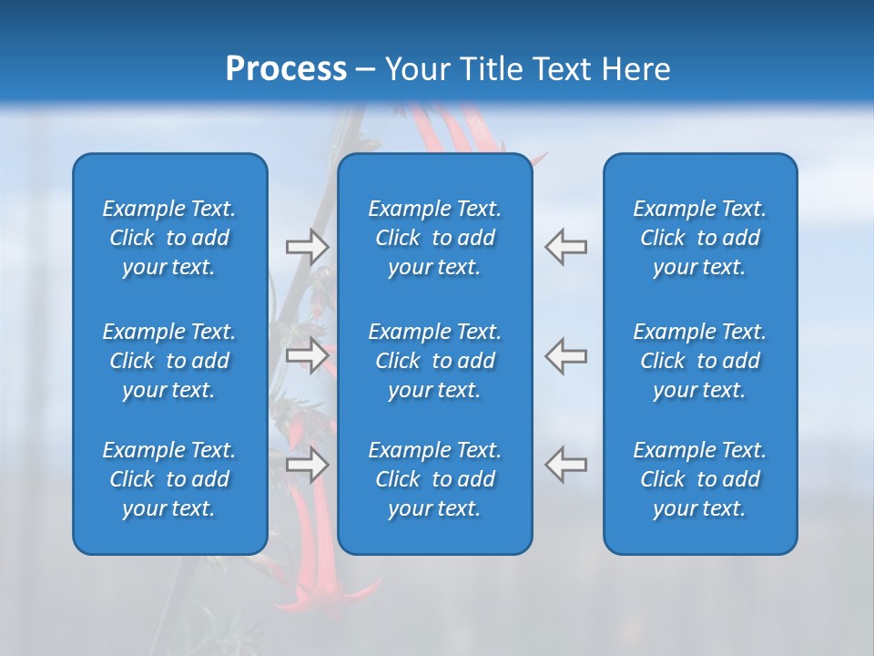 Flower Fire Ipomopsis Aggregata PowerPoint Template