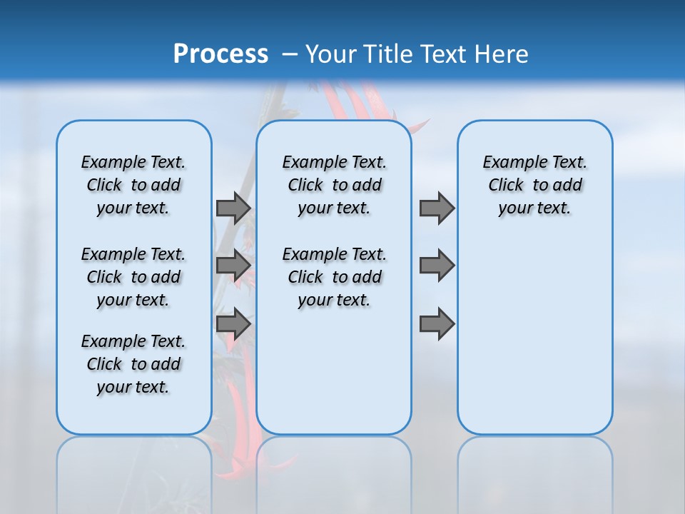 Flower Fire Ipomopsis Aggregata PowerPoint Template