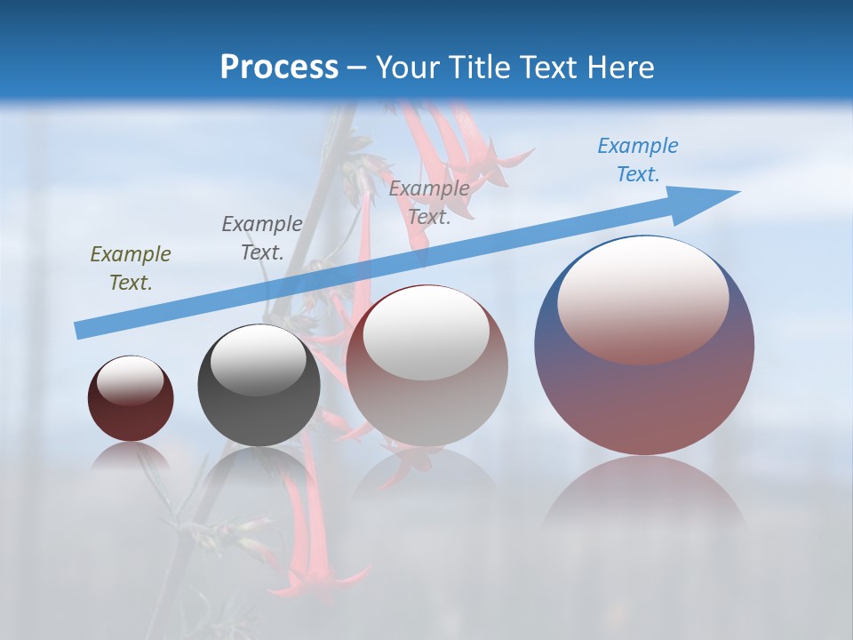 Flower Fire Ipomopsis Aggregata PowerPoint Template
