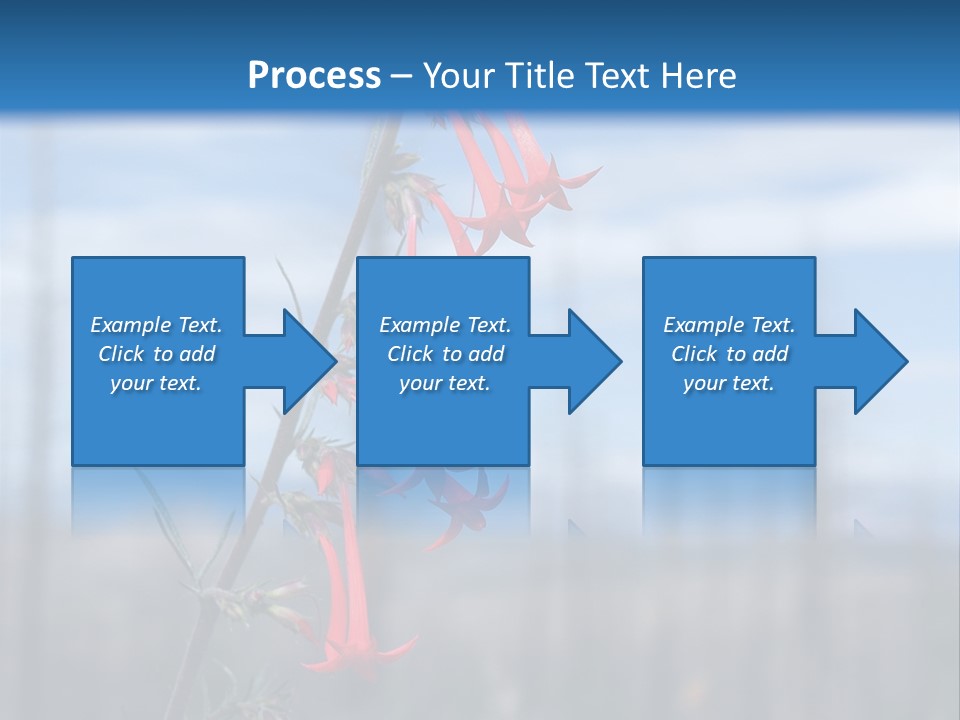 Flower Fire Ipomopsis Aggregata PowerPoint Template