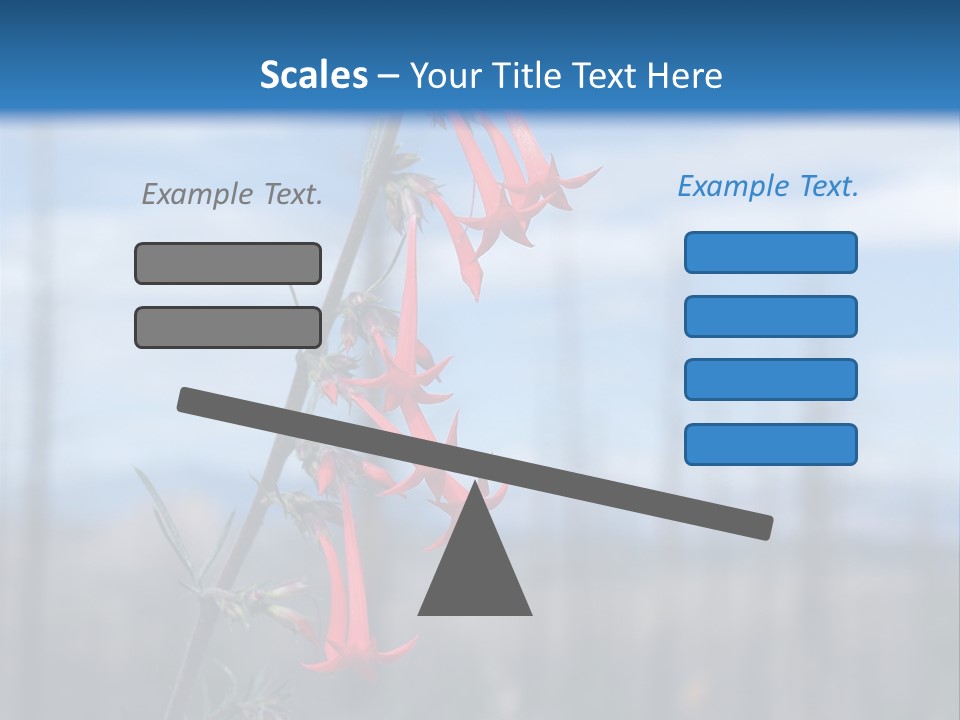 Flower Fire Ipomopsis Aggregata PowerPoint Template