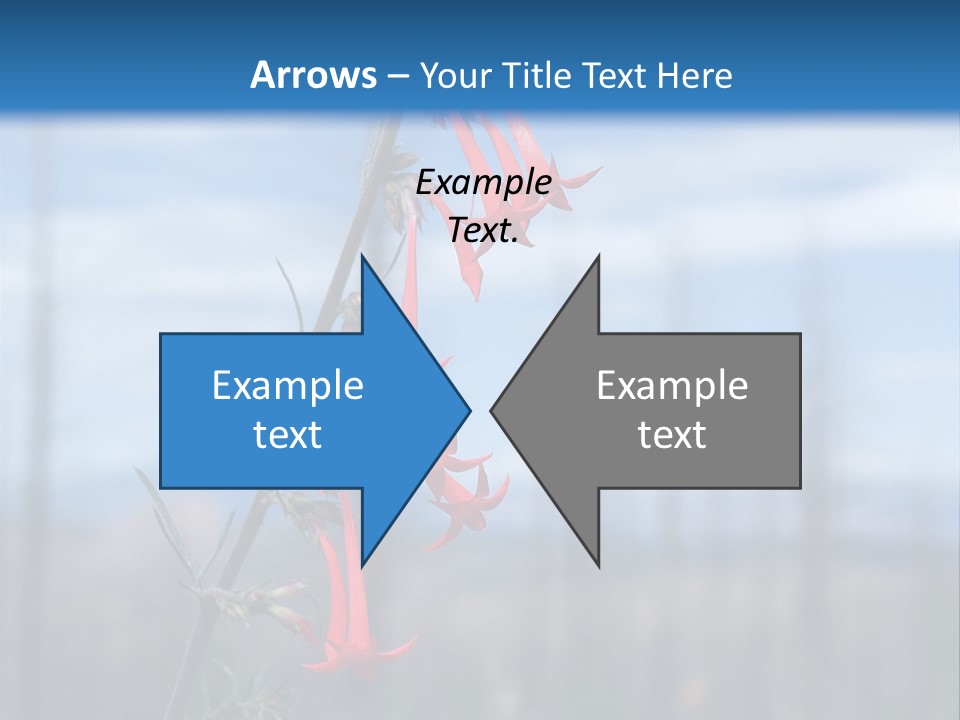 Flower Fire Ipomopsis Aggregata PowerPoint Template