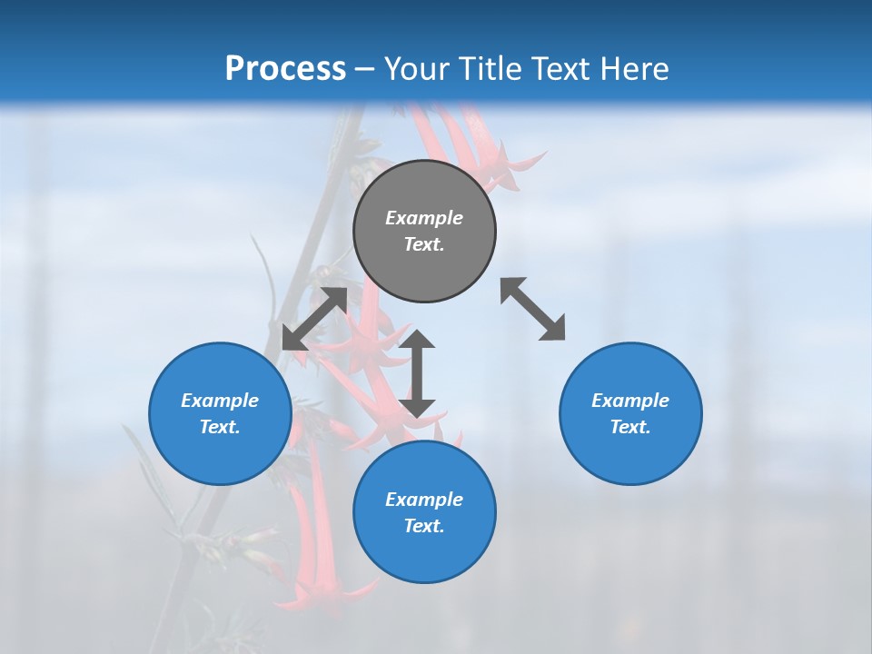 Flower Fire Ipomopsis Aggregata PowerPoint Template