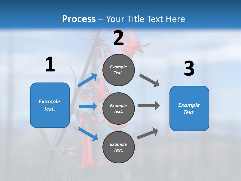 Flower Fire Ipomopsis Aggregata PowerPoint Template