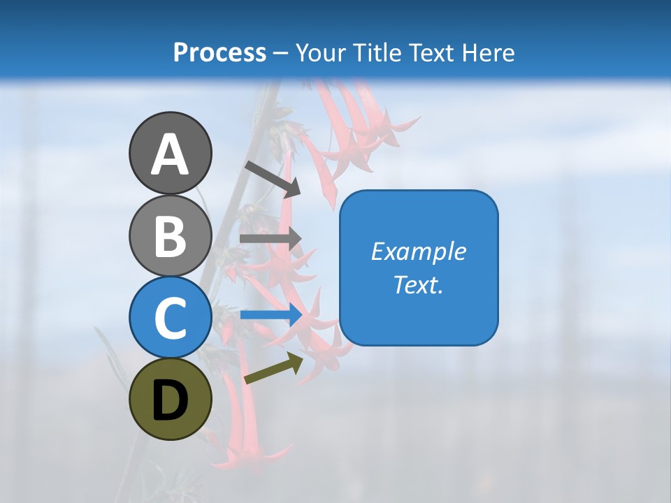 Flower Fire Ipomopsis Aggregata PowerPoint Template