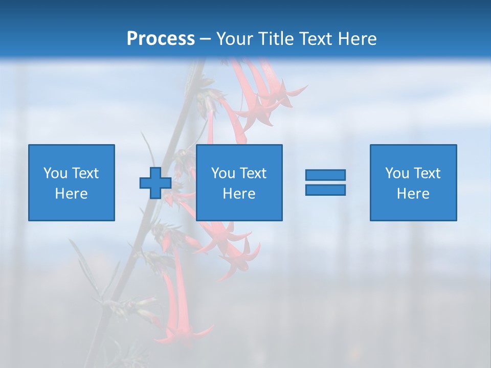 Flower Fire Ipomopsis Aggregata PowerPoint Template