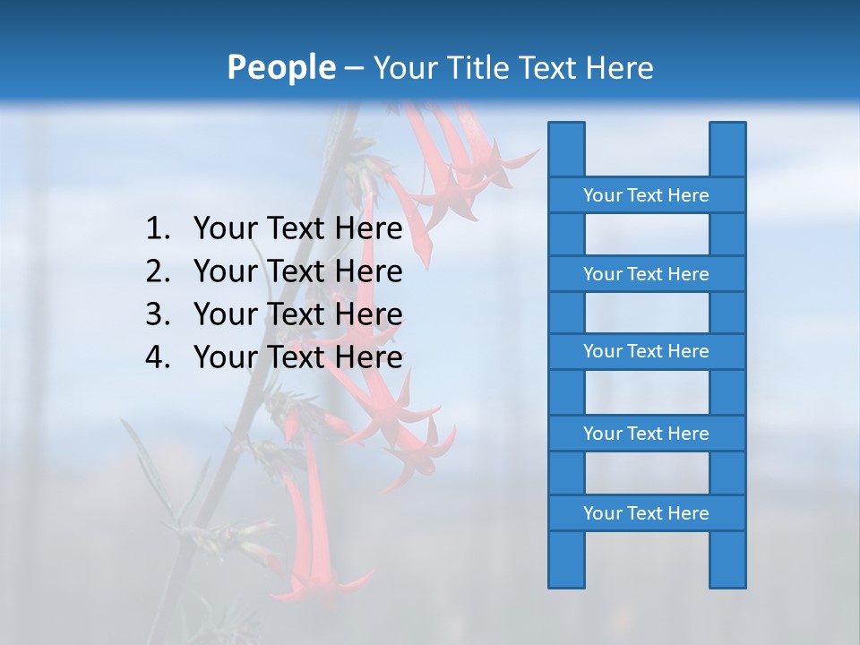 Flower Fire Ipomopsis Aggregata PowerPoint Template