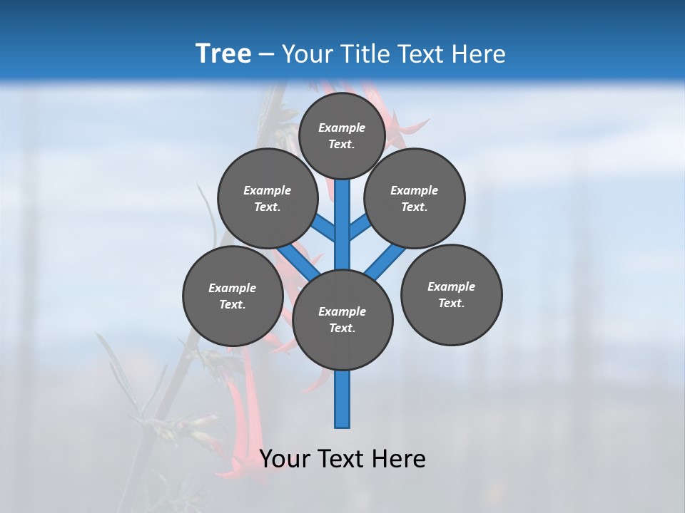 Flower Fire Ipomopsis Aggregata PowerPoint Template