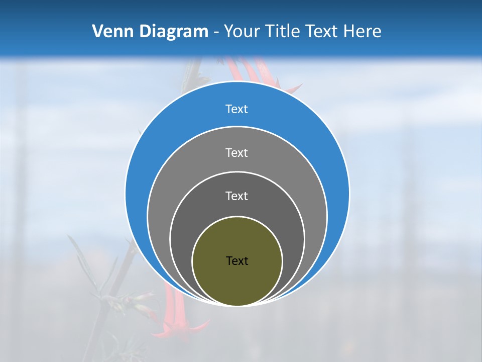 Flower Fire Ipomopsis Aggregata PowerPoint Template