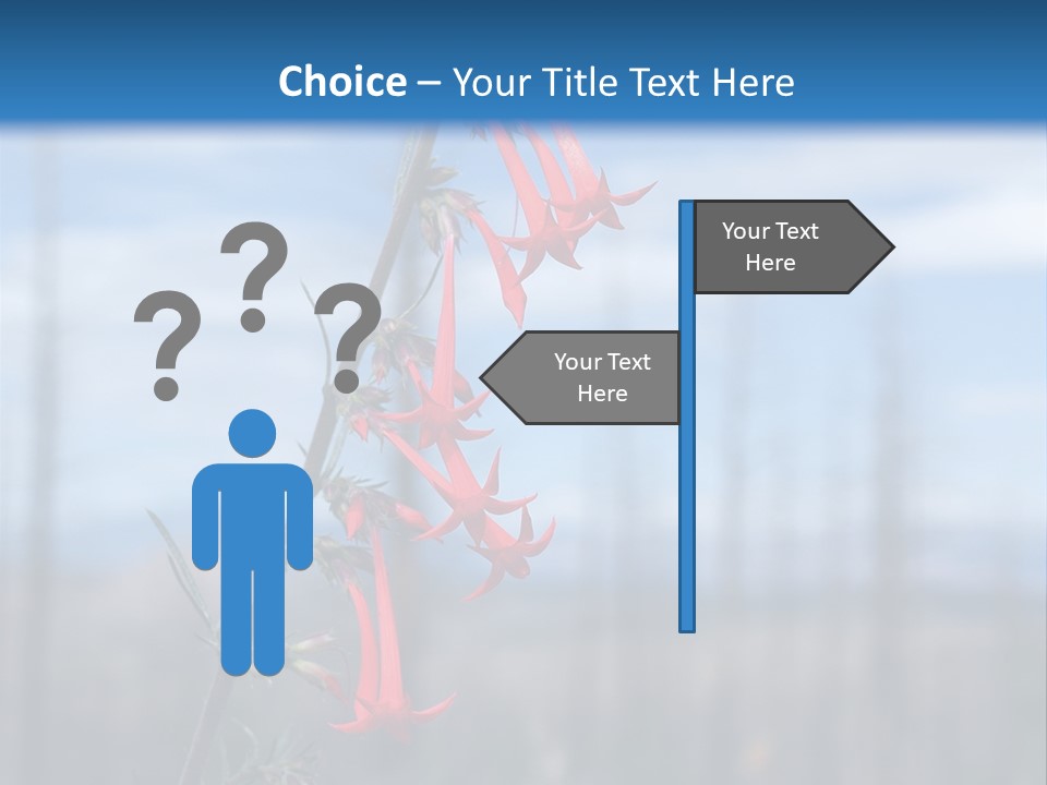 Flower Fire Ipomopsis Aggregata PowerPoint Template