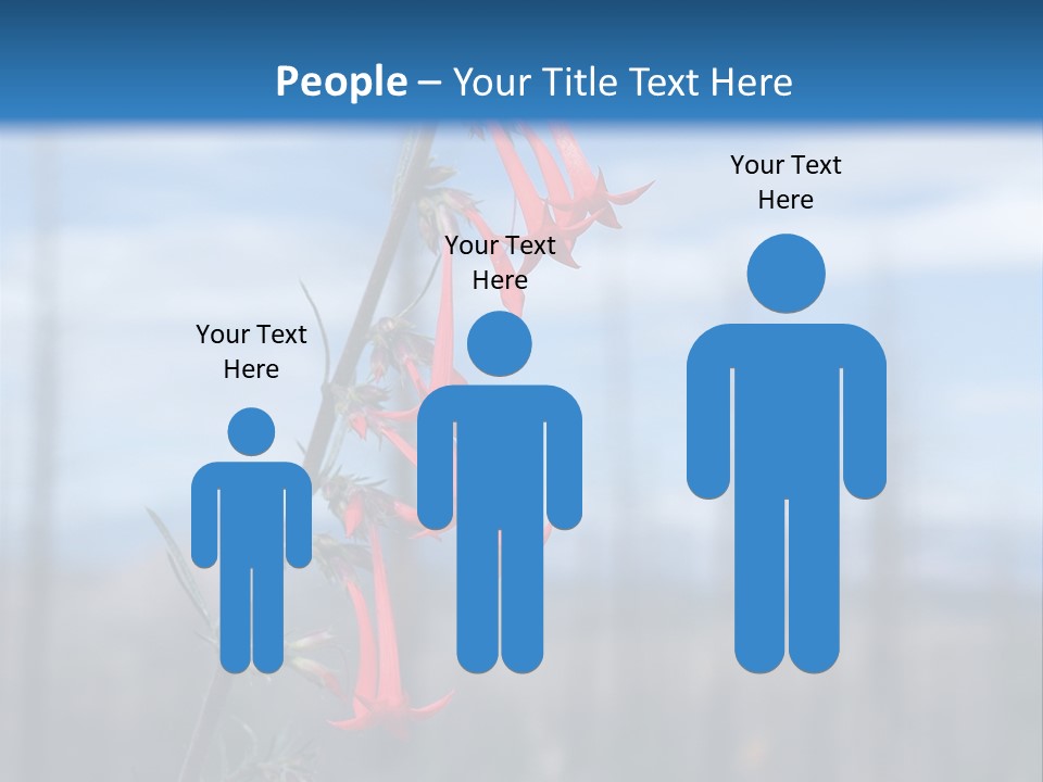 Flower Fire Ipomopsis Aggregata PowerPoint Template