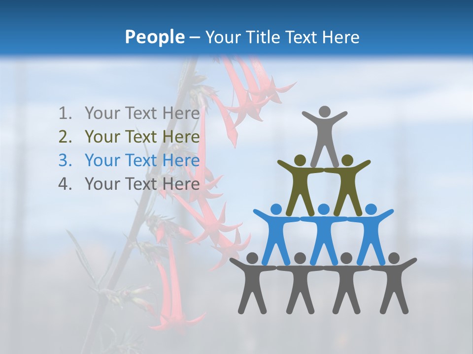 Flower Fire Ipomopsis Aggregata PowerPoint Template