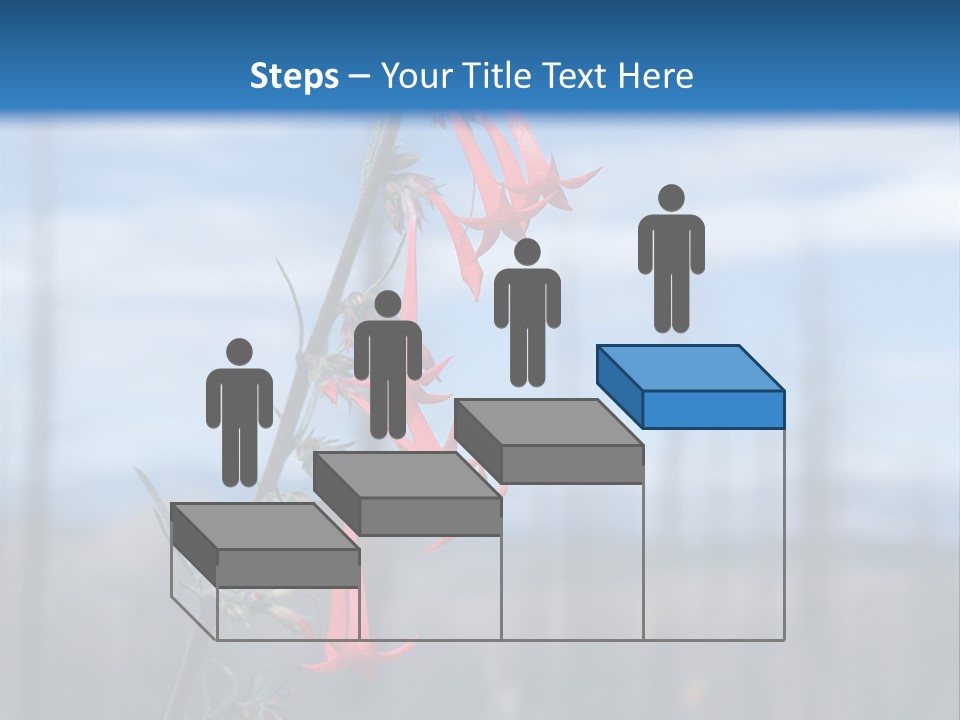 Flower Fire Ipomopsis Aggregata PowerPoint Template