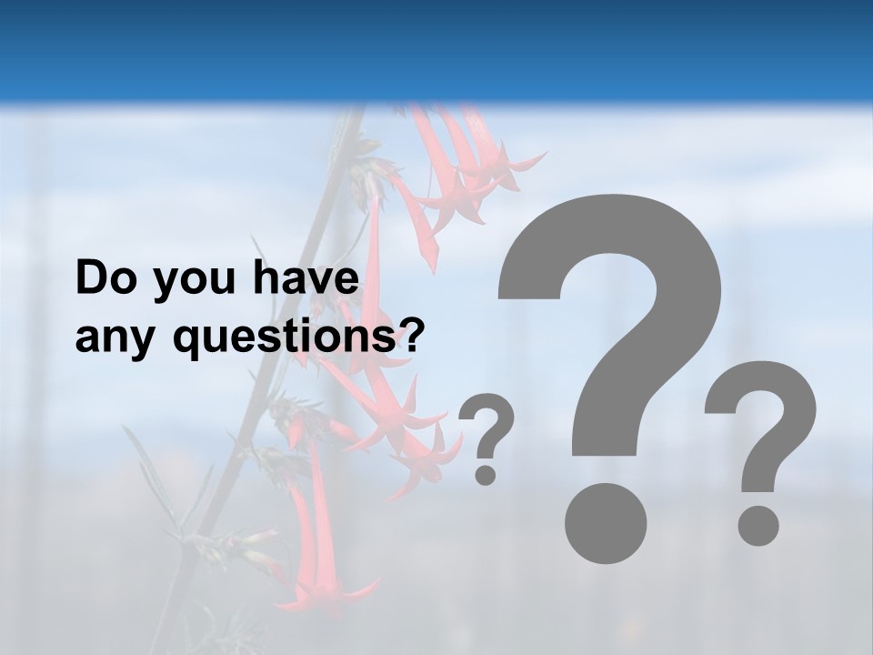 Flower Fire Ipomopsis Aggregata PowerPoint Template