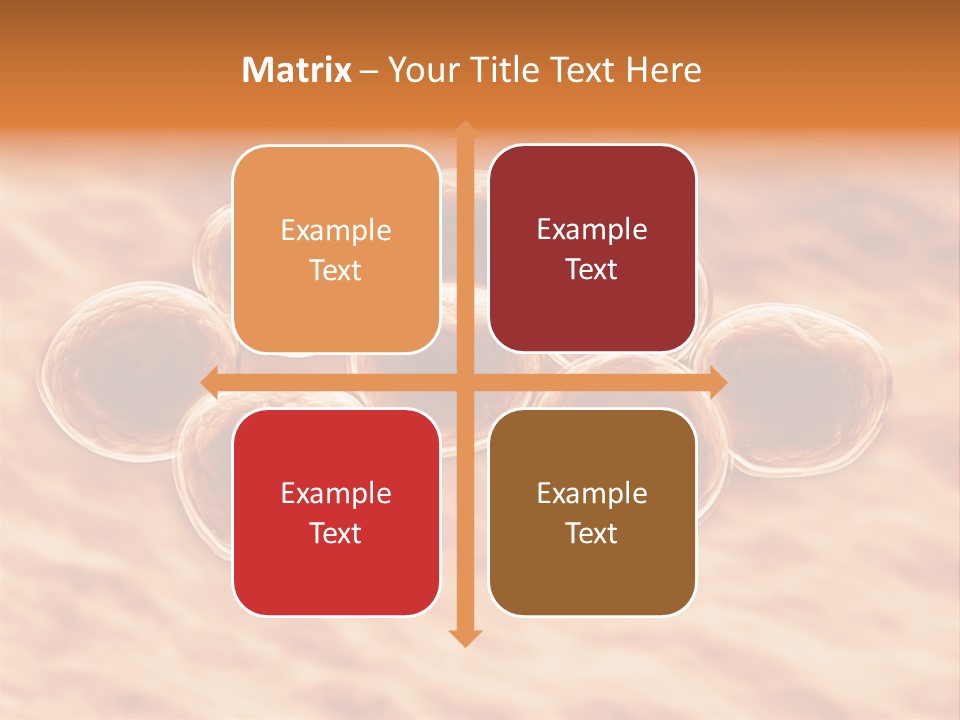 Happiness Beautiful Coast PowerPoint Template