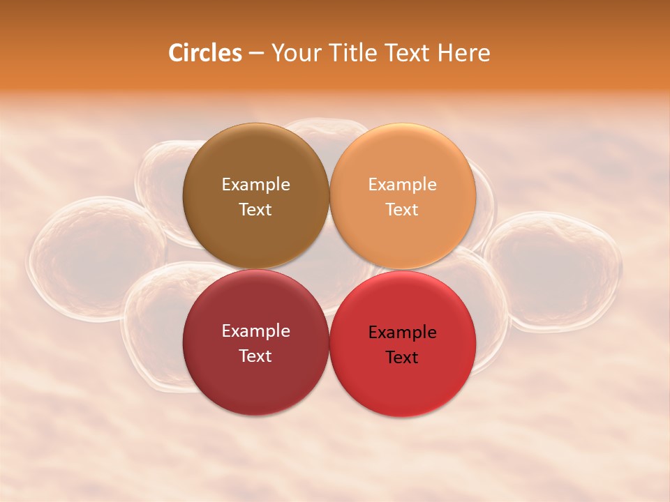 Happiness Beautiful Coast PowerPoint Template