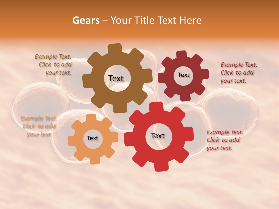 Happiness Beautiful Coast PowerPoint Template