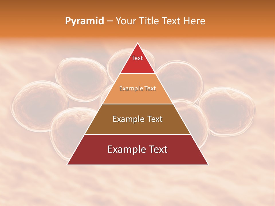 Happiness Beautiful Coast PowerPoint Template