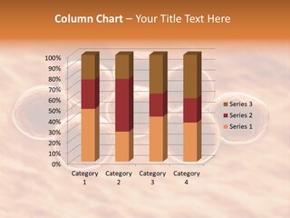 Happiness Beautiful Coast PowerPoint Template