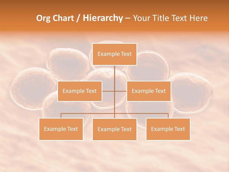 Happiness Beautiful Coast PowerPoint Template