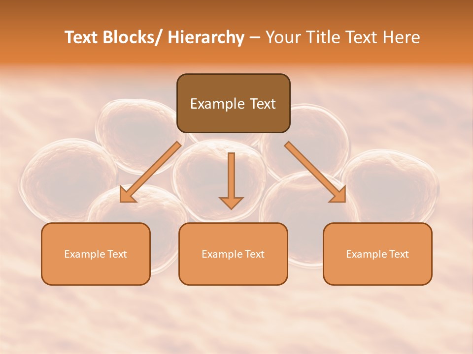 Happiness Beautiful Coast PowerPoint Template