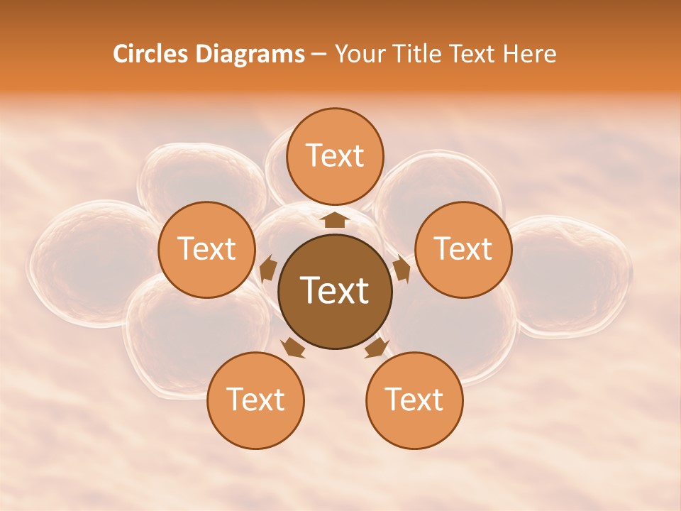 Happiness Beautiful Coast PowerPoint Template