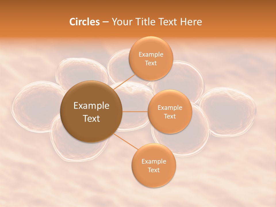 Happiness Beautiful Coast PowerPoint Template