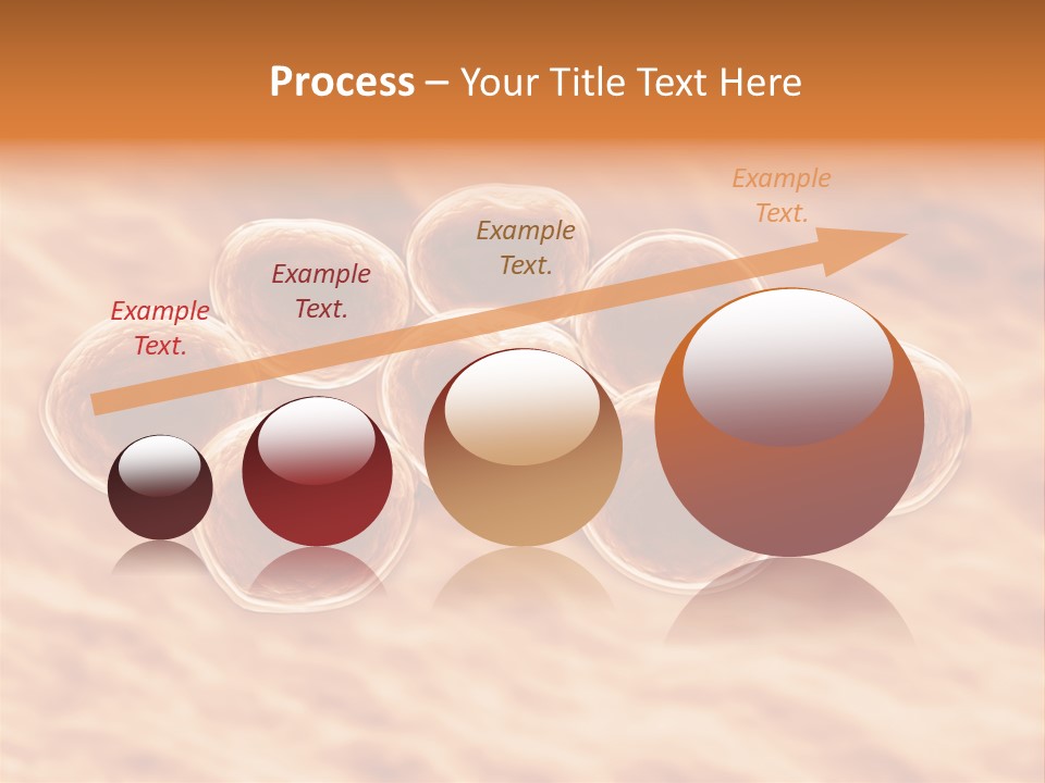 Happiness Beautiful Coast PowerPoint Template