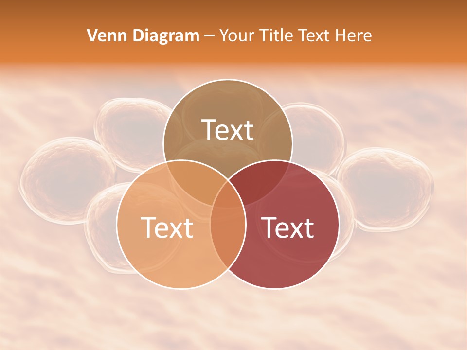 Happiness Beautiful Coast PowerPoint Template