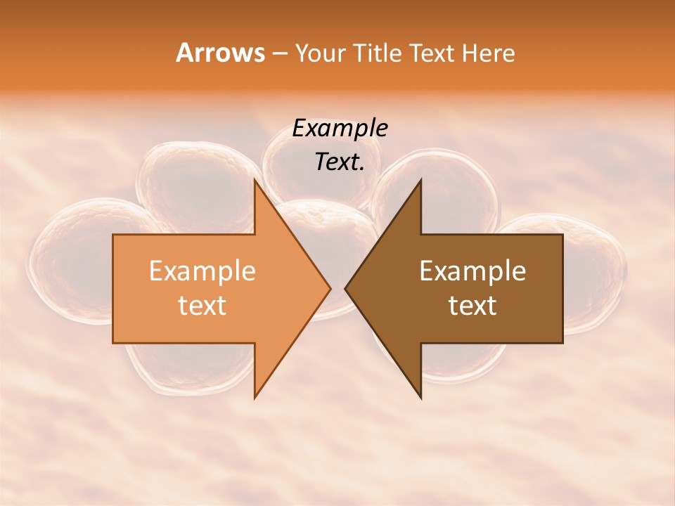 Happiness Beautiful Coast PowerPoint Template