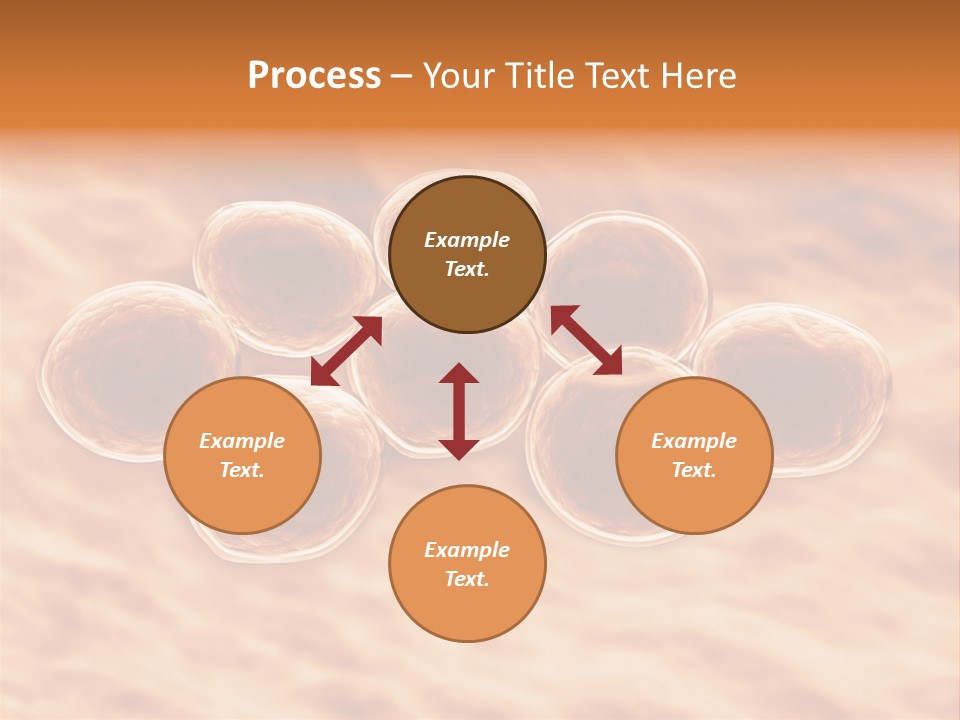 Happiness Beautiful Coast PowerPoint Template