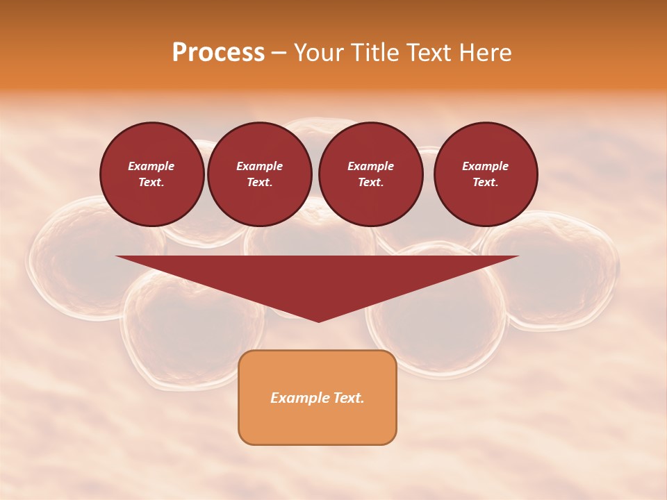 Happiness Beautiful Coast PowerPoint Template