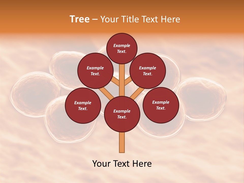 Happiness Beautiful Coast PowerPoint Template