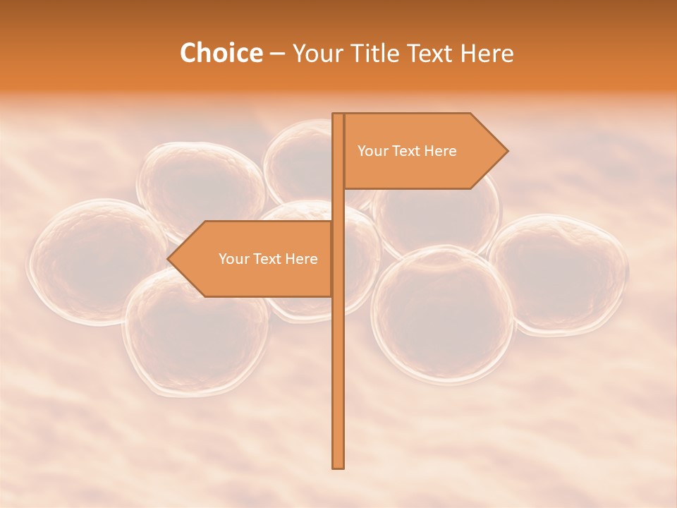 Happiness Beautiful Coast PowerPoint Template