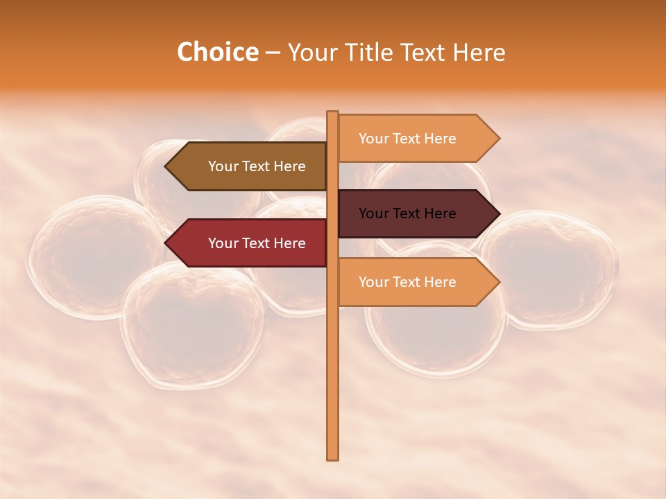 Happiness Beautiful Coast PowerPoint Template