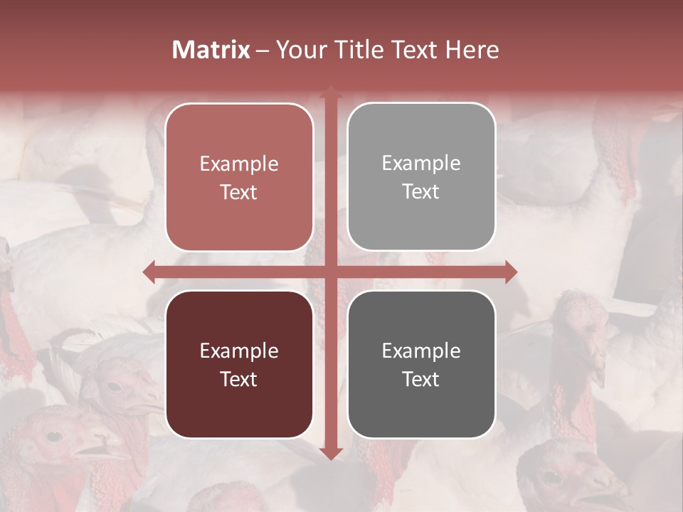 Red Pregnancy Motherhood PowerPoint Template