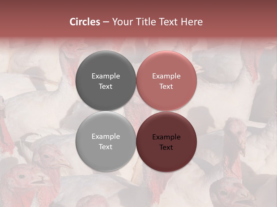 Red Pregnancy Motherhood PowerPoint Template