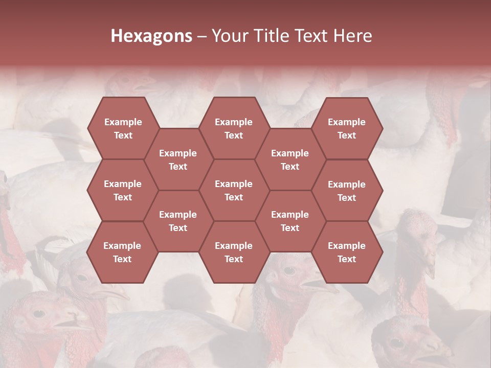 Red Pregnancy Motherhood PowerPoint Template