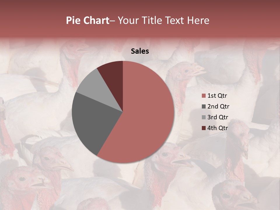 Red Pregnancy Motherhood PowerPoint Template