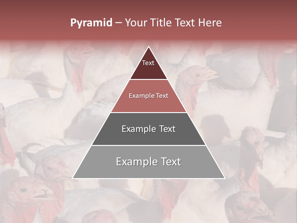 Red Pregnancy Motherhood PowerPoint Template