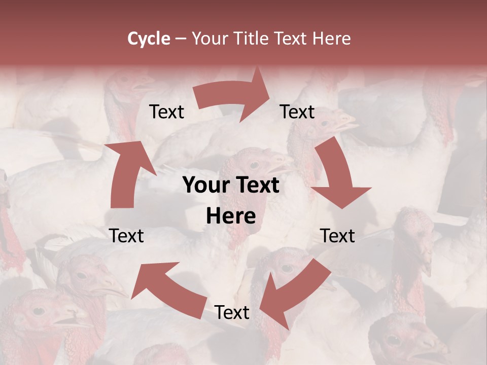 Red Pregnancy Motherhood PowerPoint Template